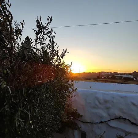 Artemis Super Paradise Beach (Mykonos)