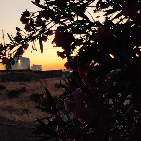 山林小屋 Artemis *